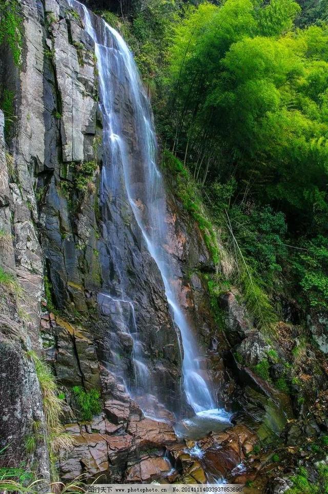 虫虫助手下载